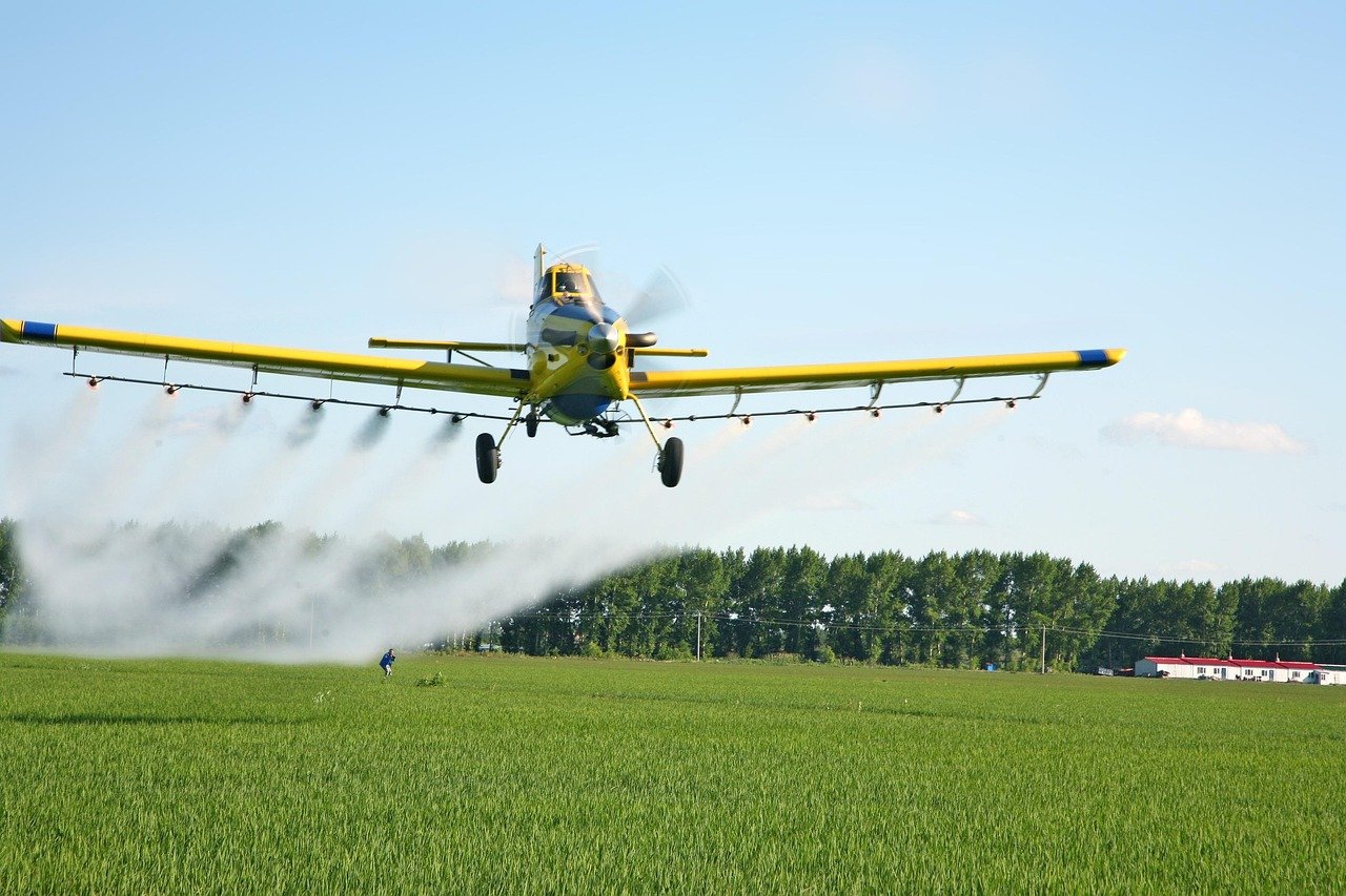 L’agriculture intelligente : le futur de la culture du coco